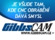 logo software Gibscamm